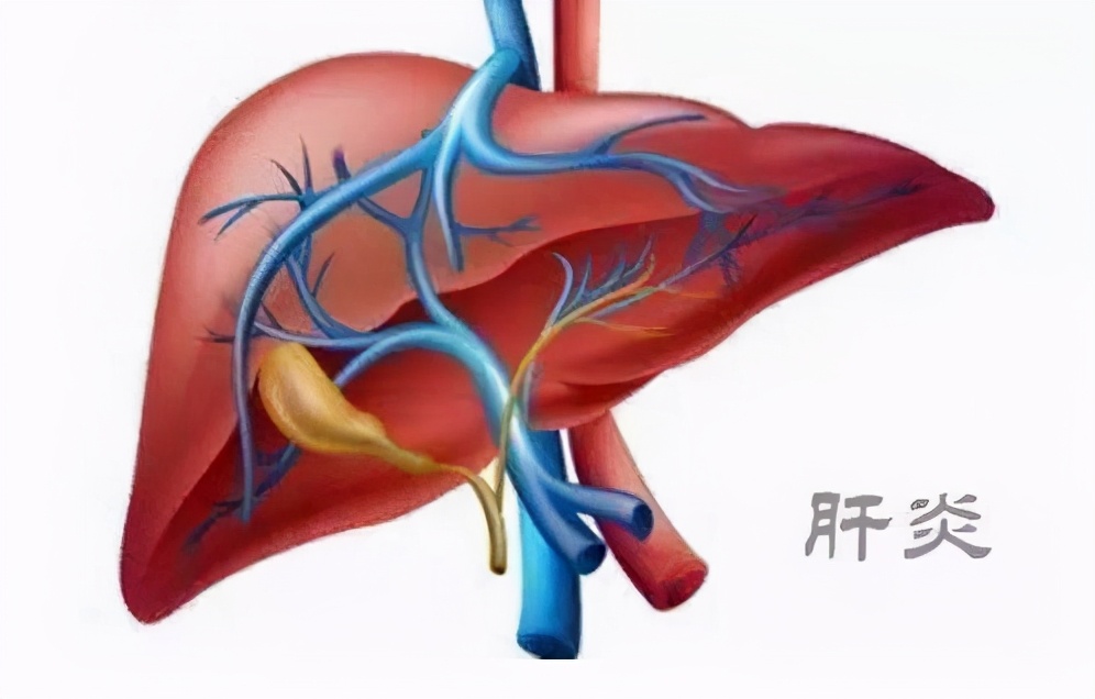 谷草转氨酶高会影响入职体检吗,体检谷草转氨酶ast偏高代表什么