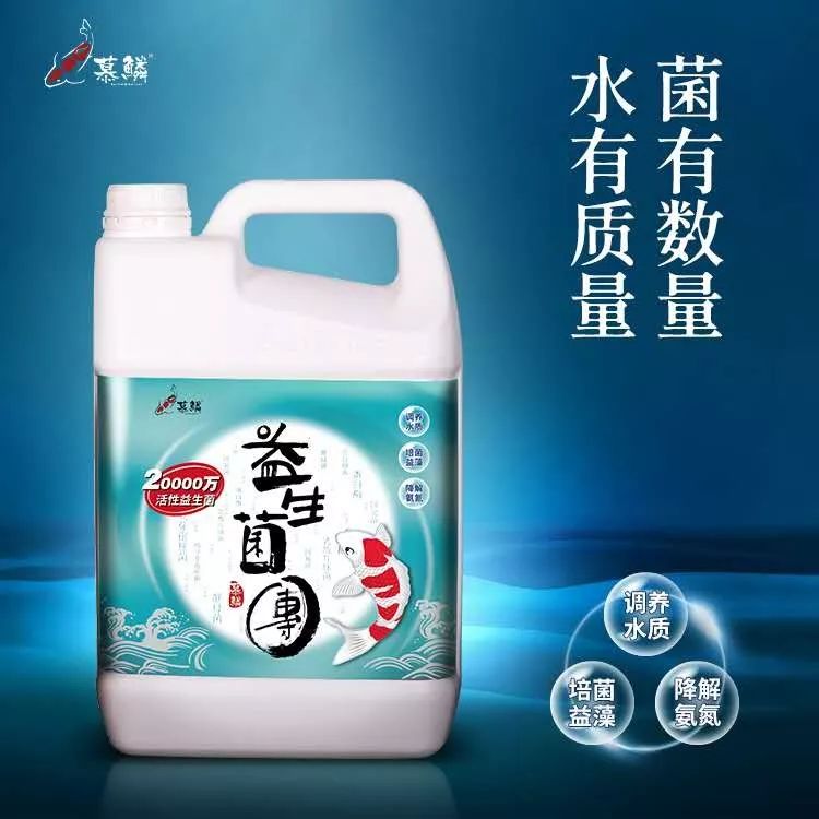 新鱼到家几天后进行双杀,新鱼到家鱼翻肚但是没死怎样救活