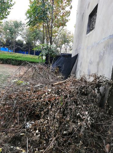 垃圾堆、破围挡、1米高的杂草、……郑州东站附近颜值亟待提升