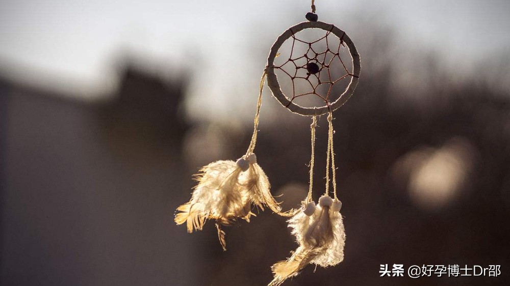 连载丨我不过是个追梦人——一个生殖医学专家的自述(一)