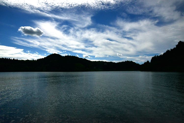 涔愯嚦鑽疯姳鎽勫奖浣滃搧娆ｈ祻,涔愯嚦鍗拌薄鎽勫奖