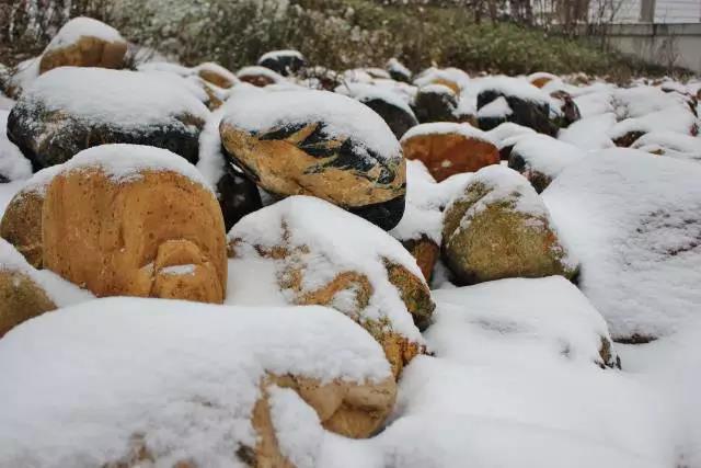 坐拥神仙颜值！原来，这就是中南大学的最美校花！