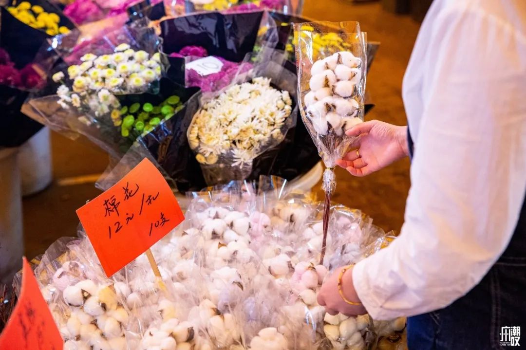 广州最便宜的花卉市场1块钱,广州岭南花卉市场买花攻略