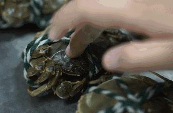 大闸蟹有的论个卖有的论斤卖,大闸蟹按斤称还是按只买划算