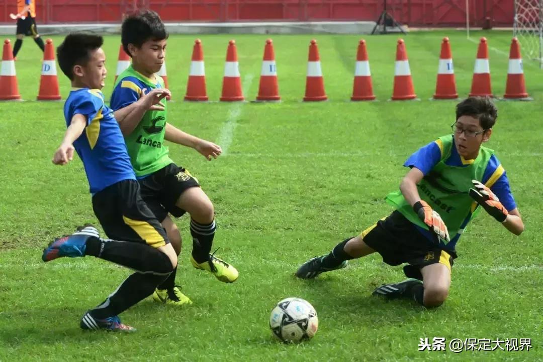 祝贺！保定这么多名学生拟获国家认定！快看有你家孩子吗？