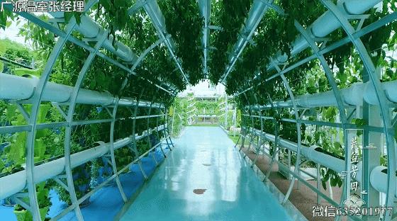 温室大棚覆盖材料有哪些,温室大棚覆盖材料种类都有哪些