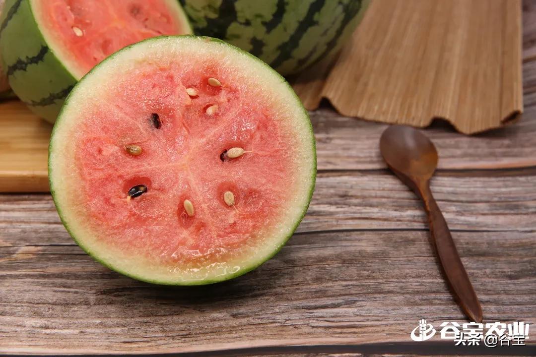 谷宝“六不用”——生态农业的初心与坚守