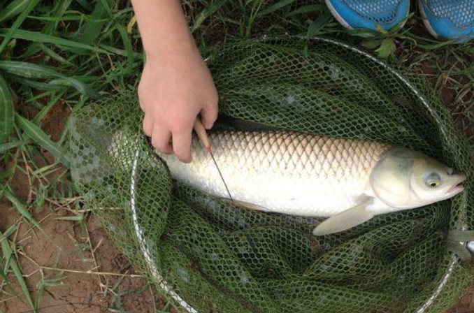 天气一热鱼不开口,天气一冷一热鱼爱咬钩吗