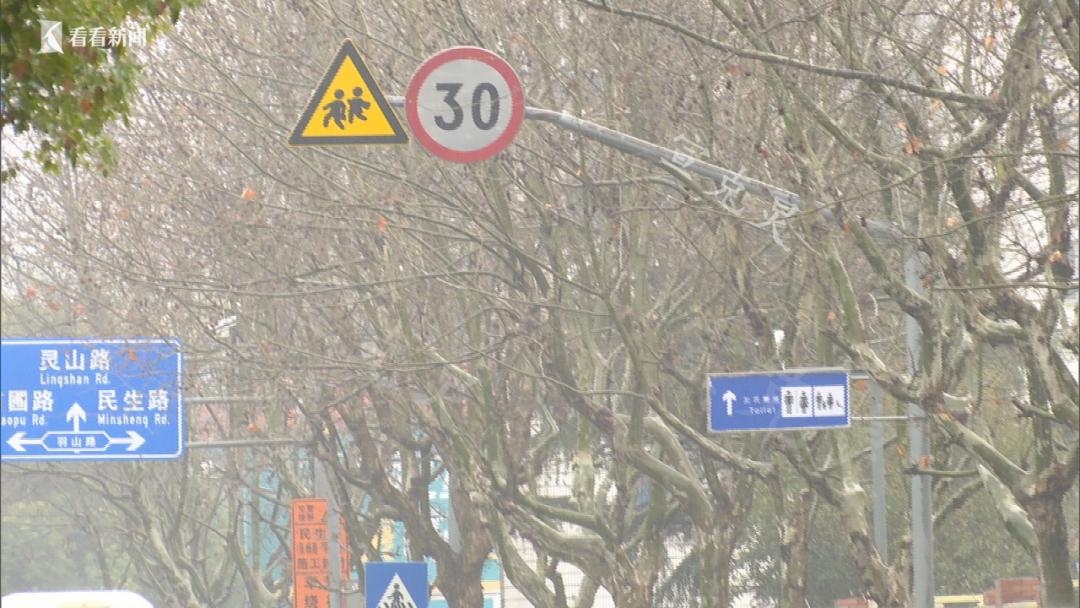 斑马线撞飞女孩后续,警钟长鸣逆行女子闯红灯