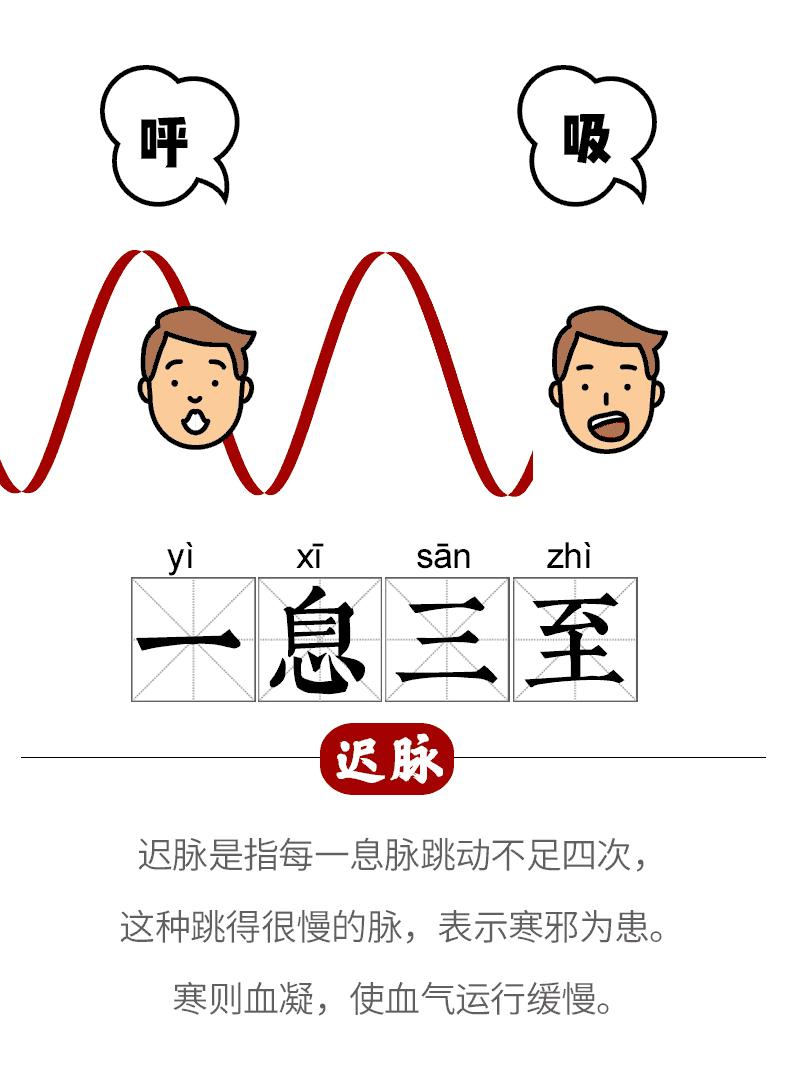 中医把脉的原理是什么动画,中医如何把脉看病图解