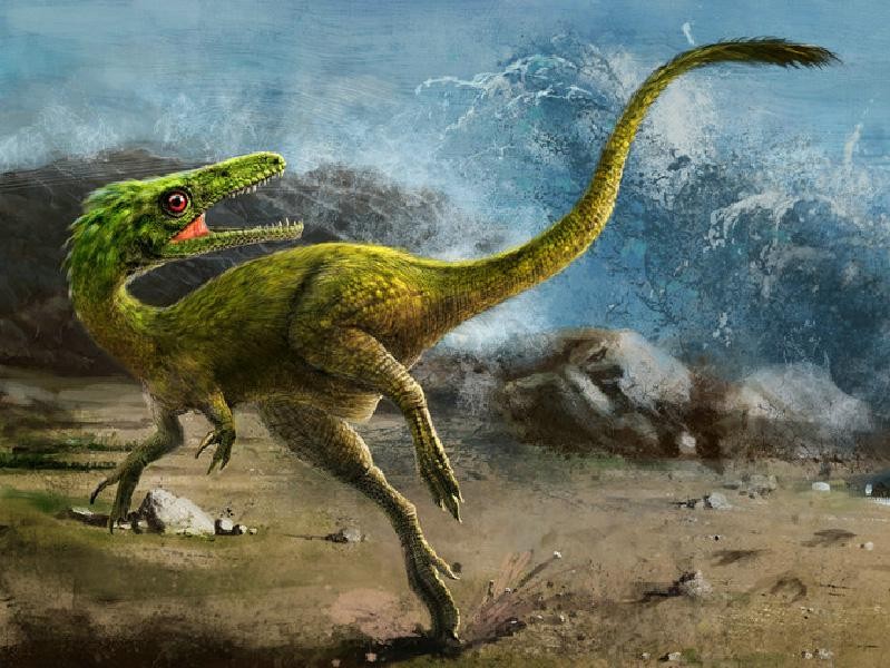 假如人类从地球上消失100年,如果人类突然消失地球会发生什么