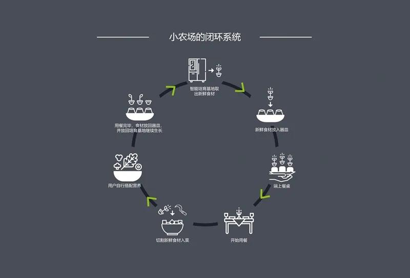 食物设计案例,健康饮食的设计意图