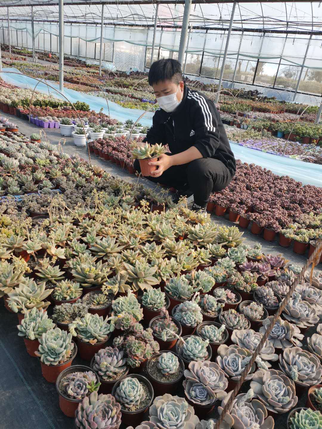 甘岸办事处与多肉相伴的邱丘：直爽可爱与温柔细腻并不冲突