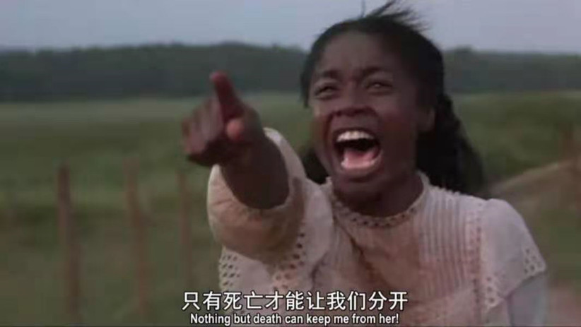 《紫色》14岁生下继父的孩子，丈夫泄欲的工具，黑人女性的隐痛