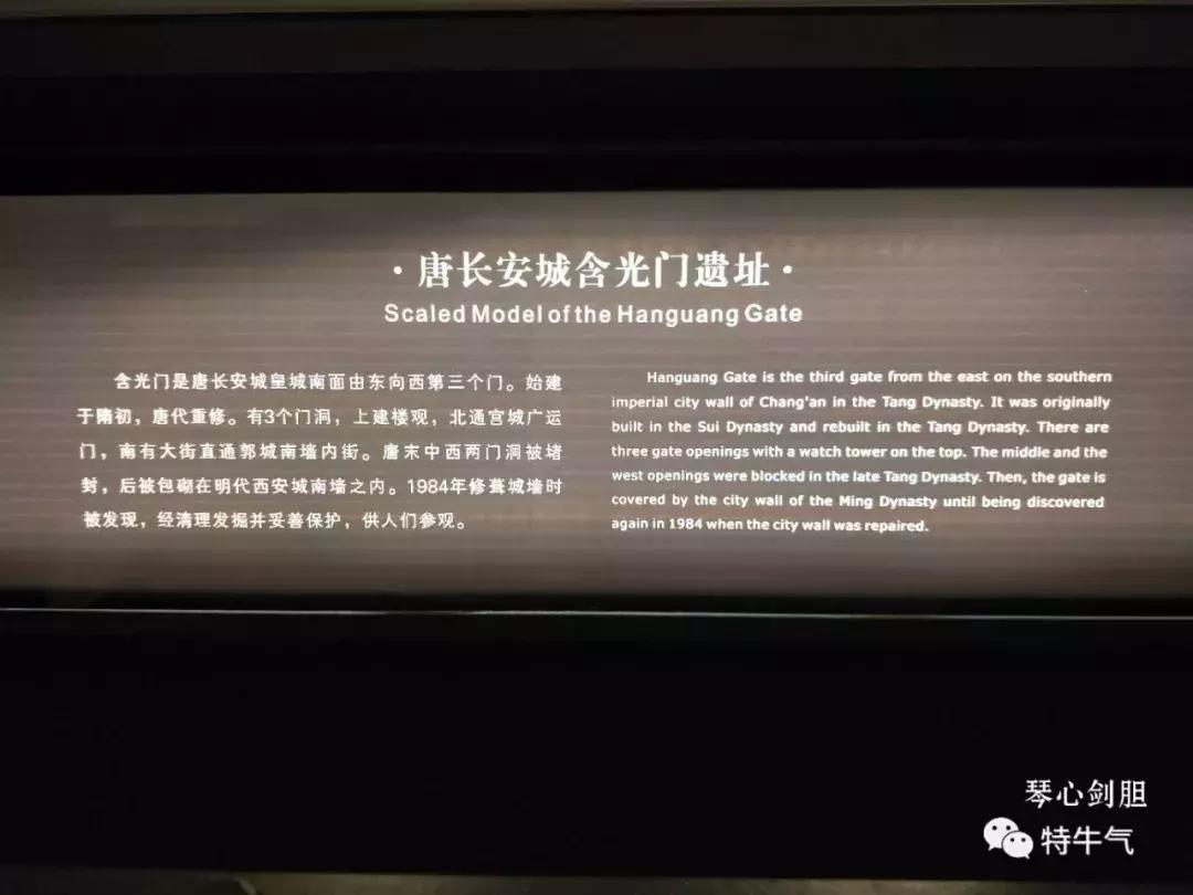 赤金走龙陕西历史博物馆,陕西历史博物馆抢票攻略