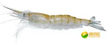 舟山海鲜攻略2天1晚住宿自由行,舟山最好的海鲜