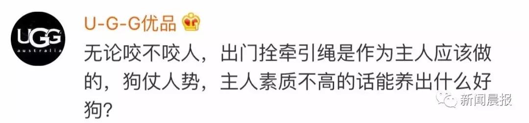 遛狗不牵绳算野狗吗,遛狗不牵狗绳咬伤别人怎么办