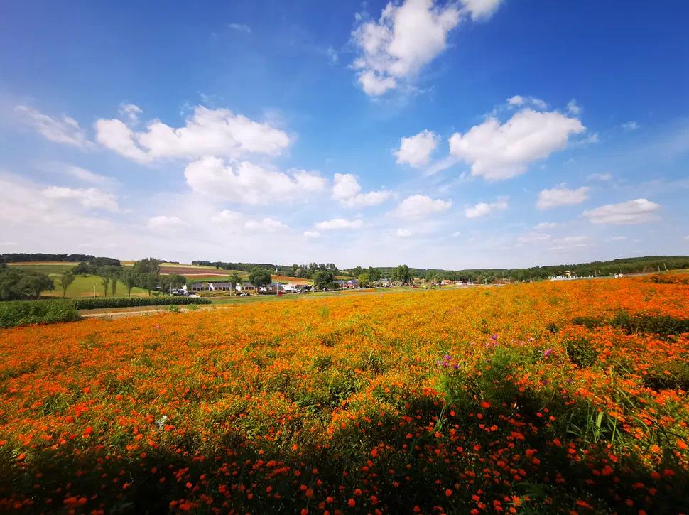 文化氛围争第一，净月的路子有多野？