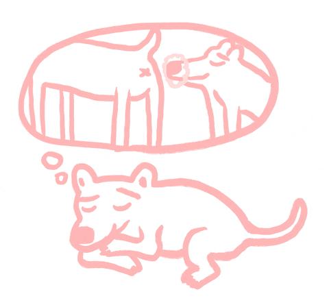 放屁怎么更响,怎么样可以把放屁声音调高