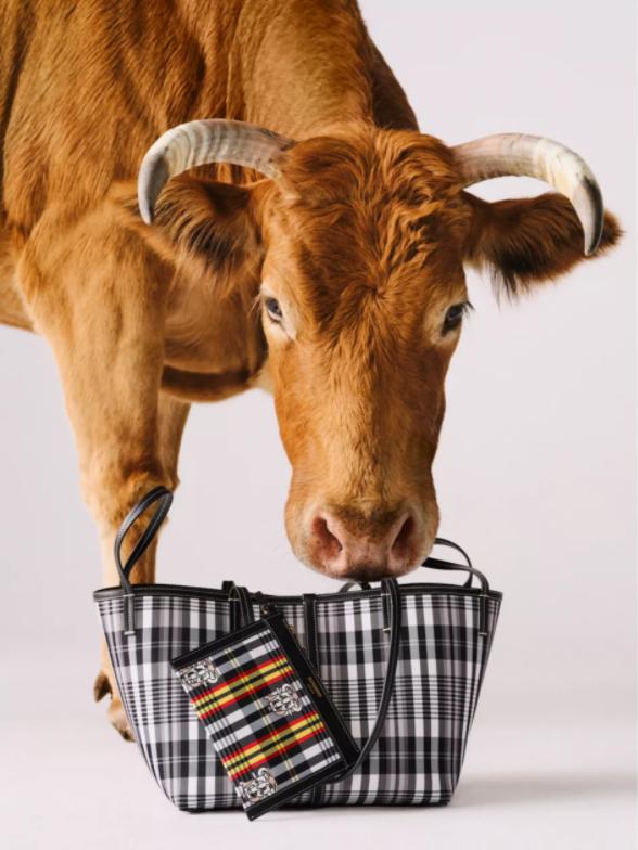 巴宝莉与lv哪个好,lv巴宝莉经典款