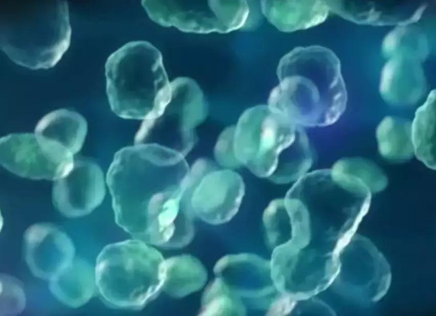 观赏鱼换水要不要加盐是食用盐吗,哪些观赏鱼不能使用杀菌盐