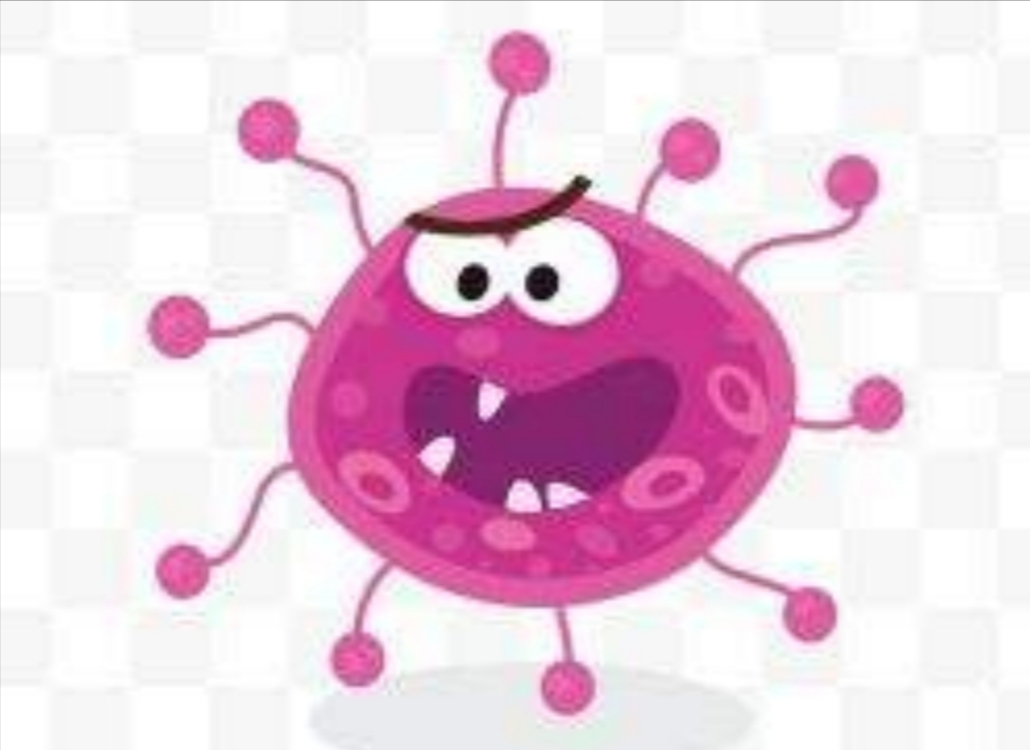 梅雨季节月季怎样抗黑斑病,夏天雨季月季黑斑病很严重怎么办