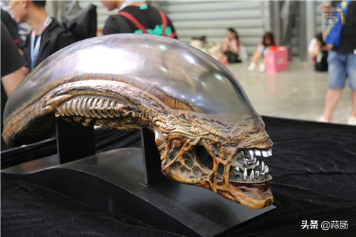 wf手办展飞天,wf上海展热门手办