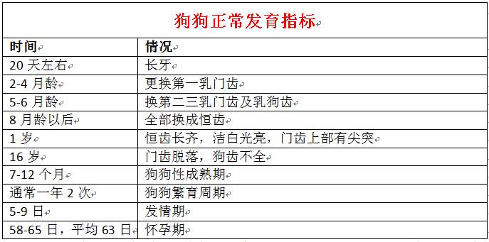 狗狗感冒了可以喝999感冒灵吗,狗狗天气转凉就咳嗽喝什么调理