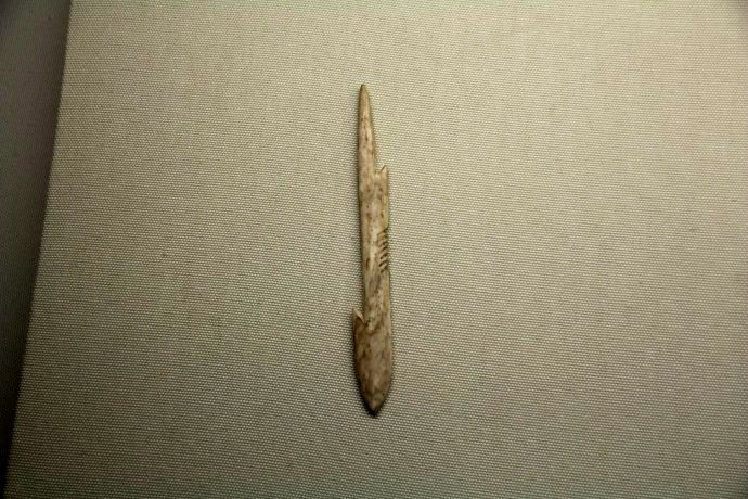 考古发现诡异巨人化石,考古学家发现怪异头骨