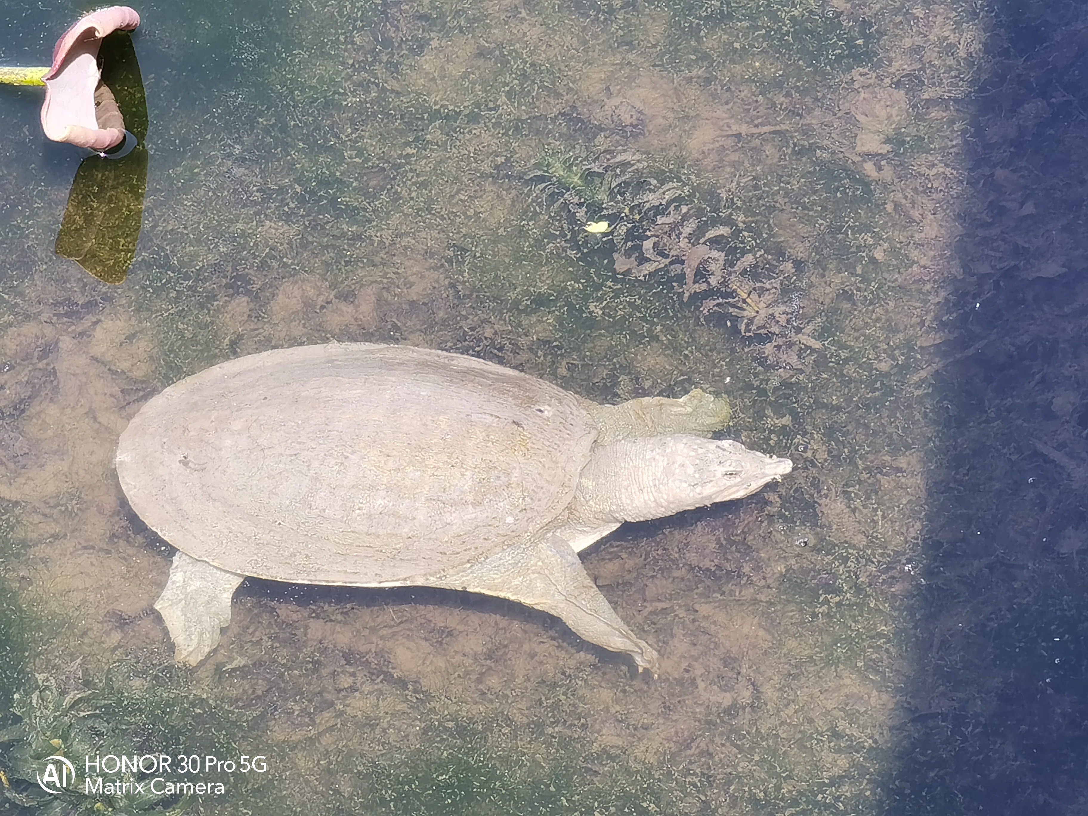 颜值能打100分吗,颜值能打三分吗