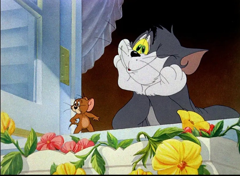 猫和老鼠汤姆和杰瑞永远是好朋友,猫和老鼠杰瑞和汤姆第一次合作