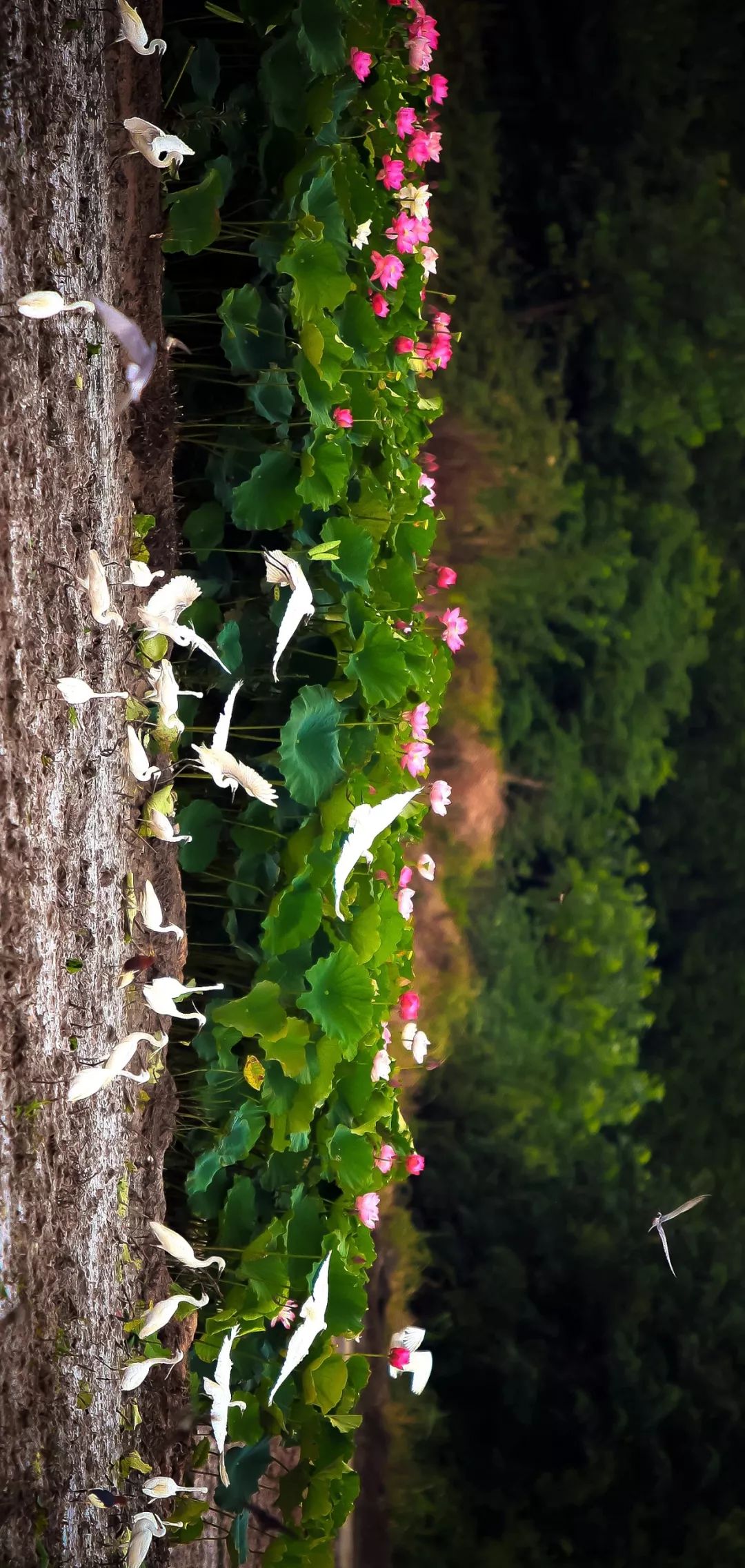 赤壁和赤壁,三国的赤壁