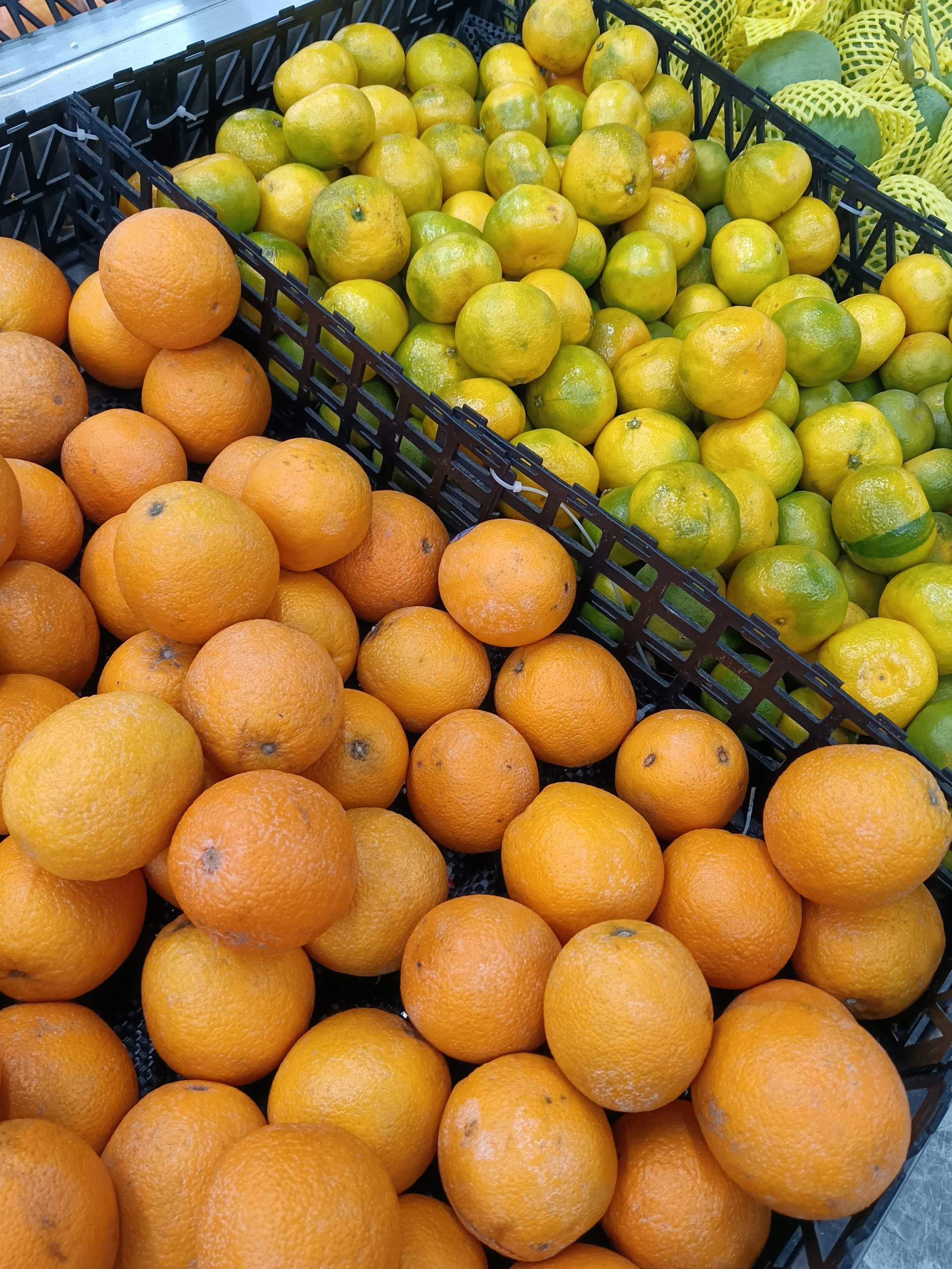 荣耀x20升级magicui5.0升级名单,荣耀x20升级magic6.0