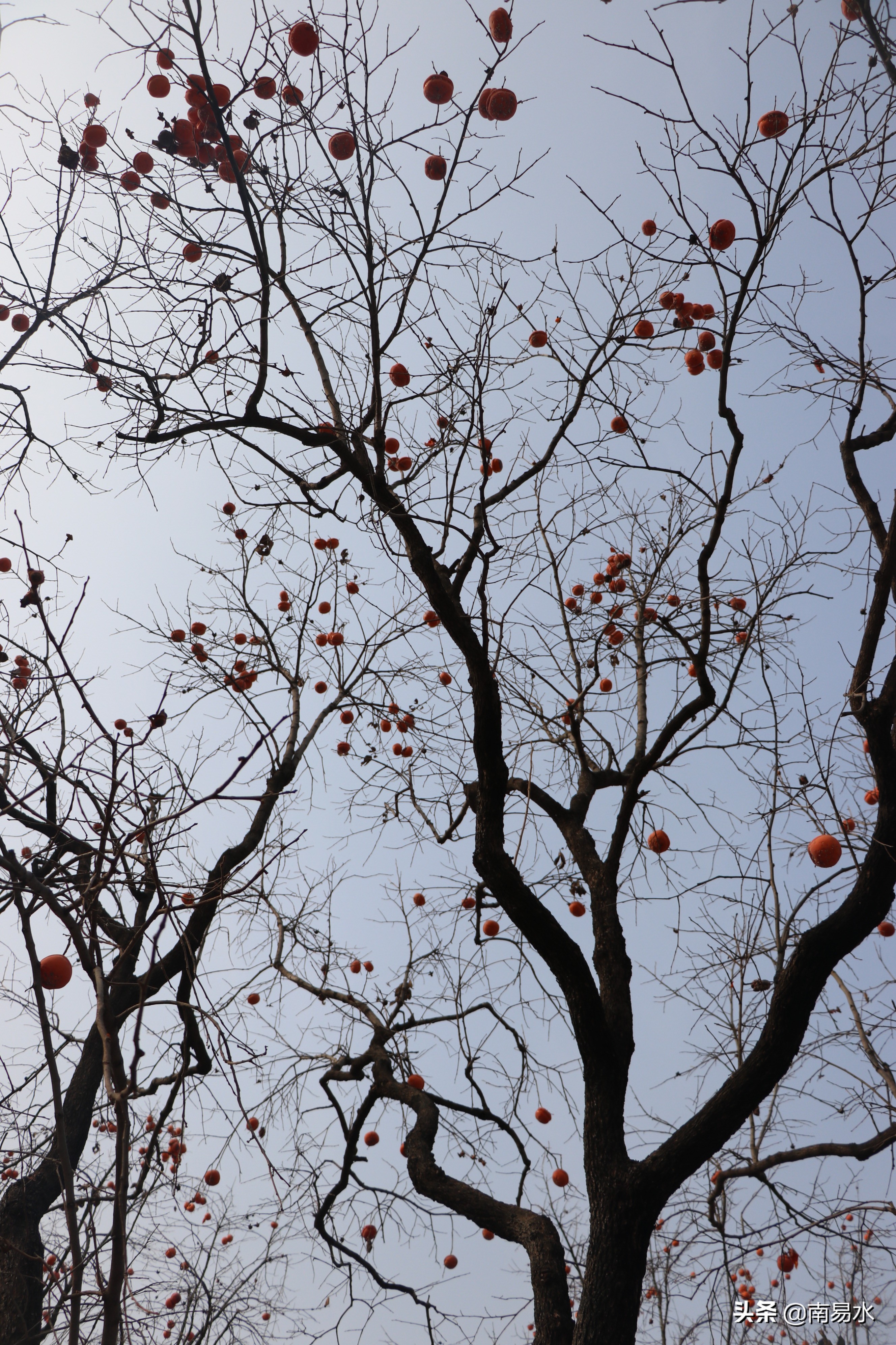 家乡风景带你一起感受自然的味道,令你难以忘怀的家乡的味道