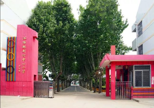 沭阳新河小学教学质量,小学学校管理及特色