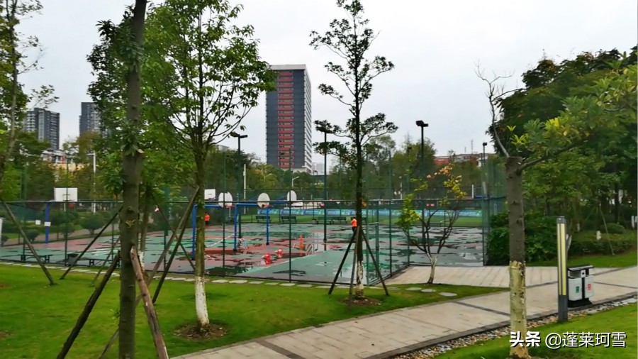 自贡汇东足球,自贡5人制足球联赛