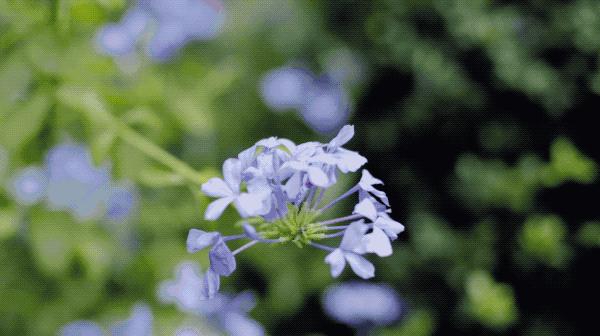 家具全是捡来的,家具都是捡来的