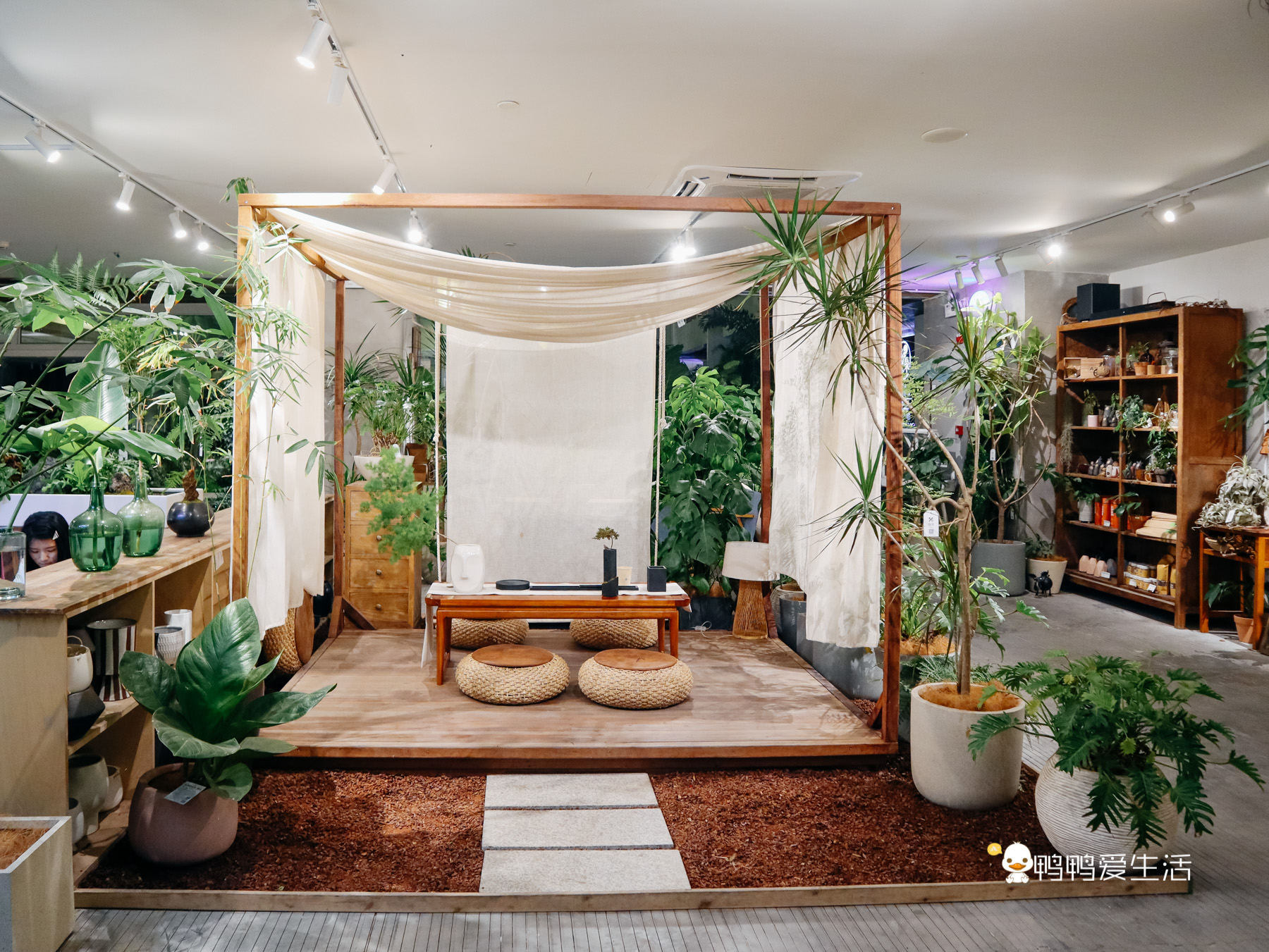 厦门华美空间藏一个绝美拍照地，误入仙境，可吃饭可拍照可看书