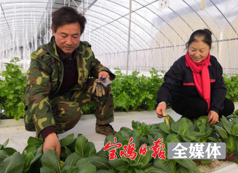 12月16日·宝鸡要闻快报