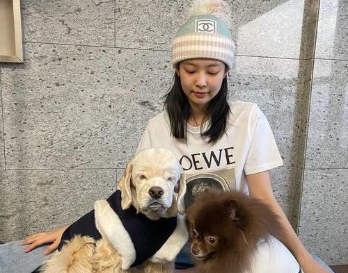 爱豆犯错误能被轻易原谅吗?韩网友的评论令人气愤