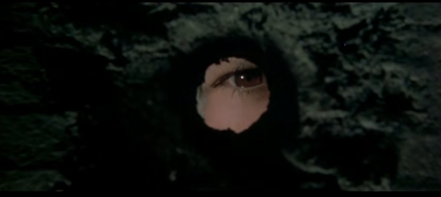 国内因大尺度沦为*片禁**，豆瓣评分却高达8.8《西西里的美丽传说》