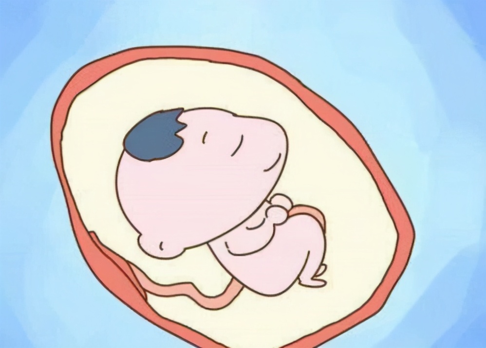 刘长卿正确读音,刘长卿的名字的正确读法