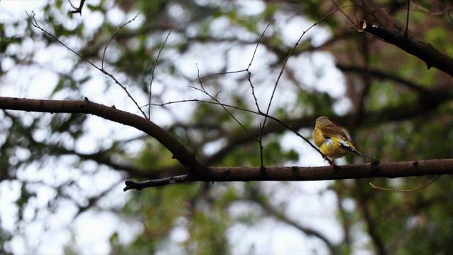 400多年前李时珍,李时珍尝了多少东西