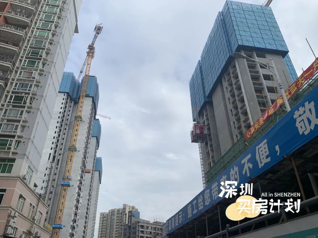 深圳目前值得打新的楼盘,深圳12月打新火爆新盘