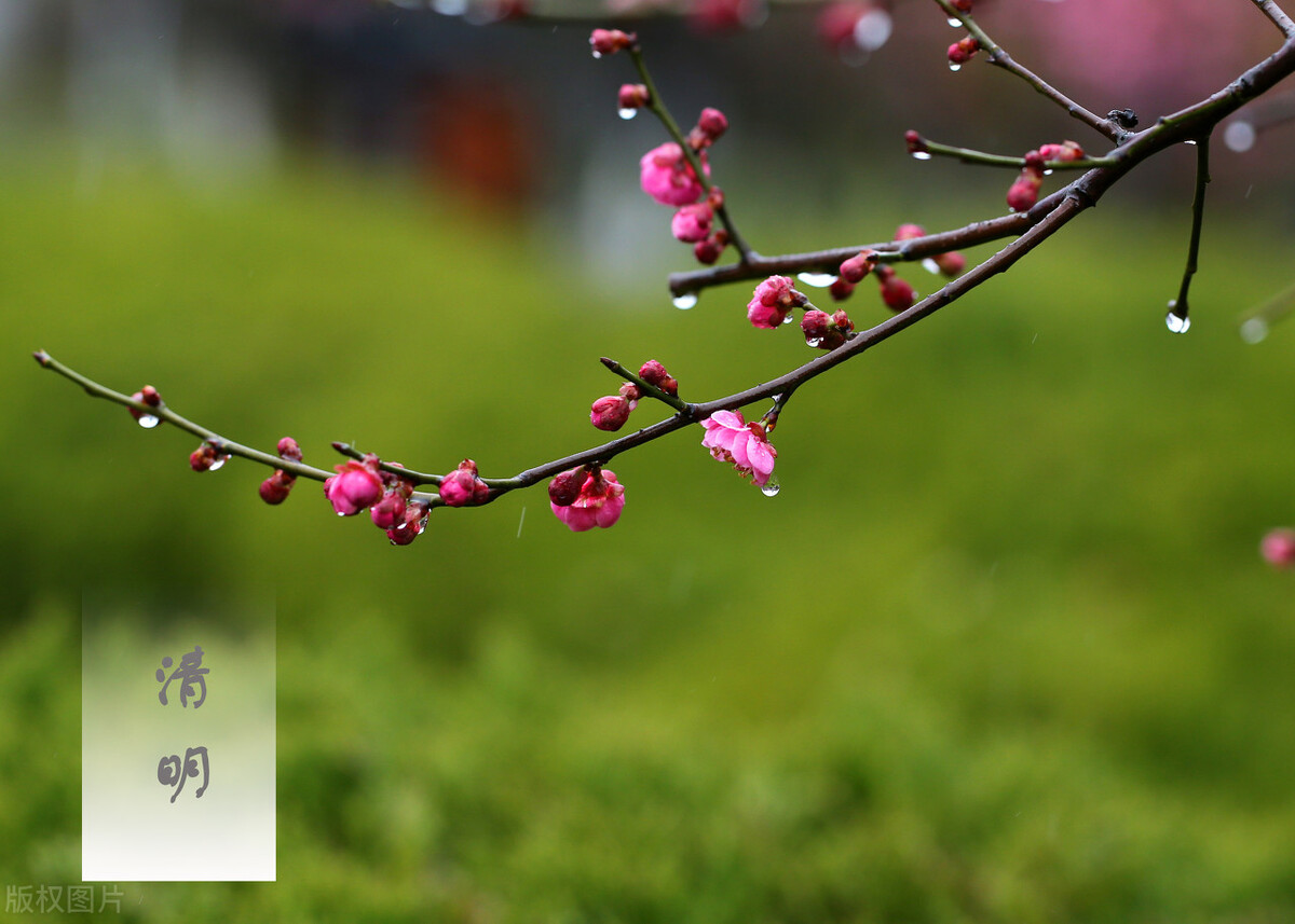 汪教授说抑郁症,汪教授讲抑郁症全集