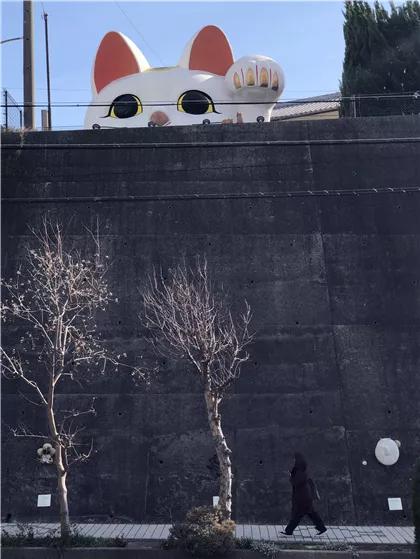 日本买口罩的经历,现在去日本买口罩靠谱吗