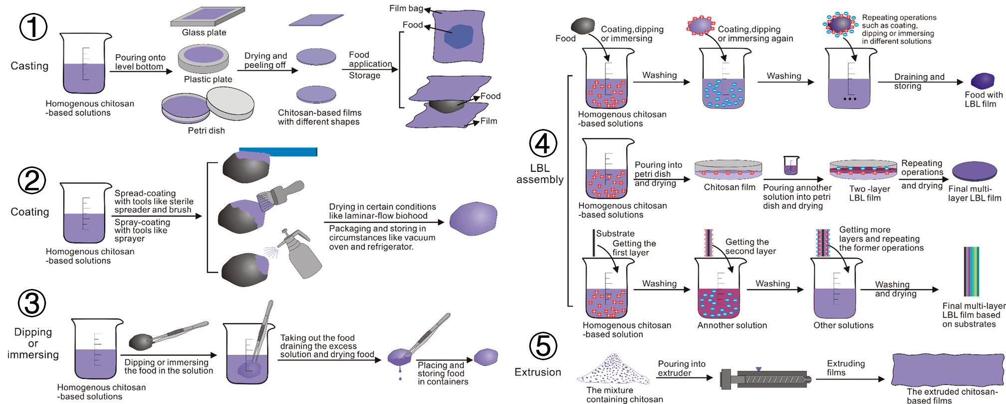 美食→生物材料|小龙虾和螃蟹→伤口敷料