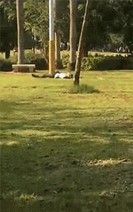 搞笑gif趣图我终于自由了,搞笑gif趣图一步做错步步皆错