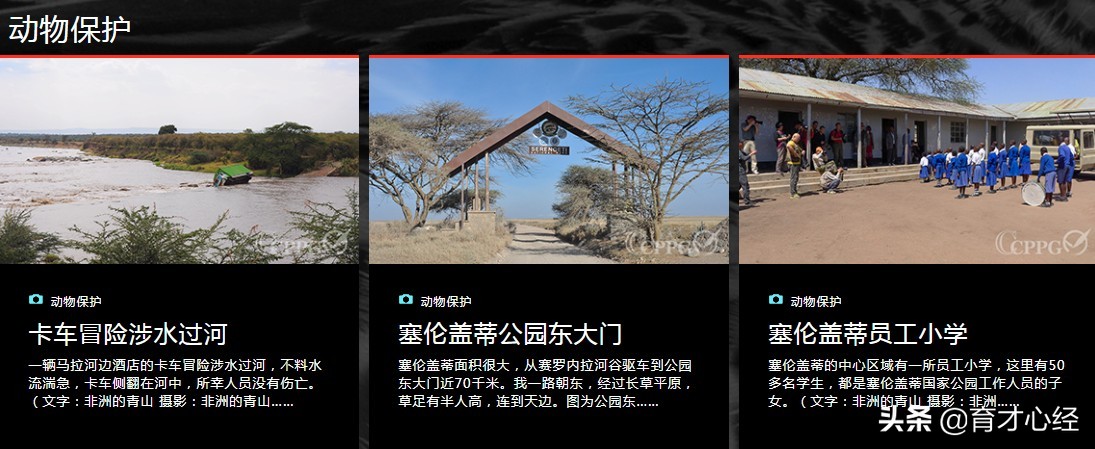 双减政策下孩子们都去哪儿了,双减政策家长必须知道的