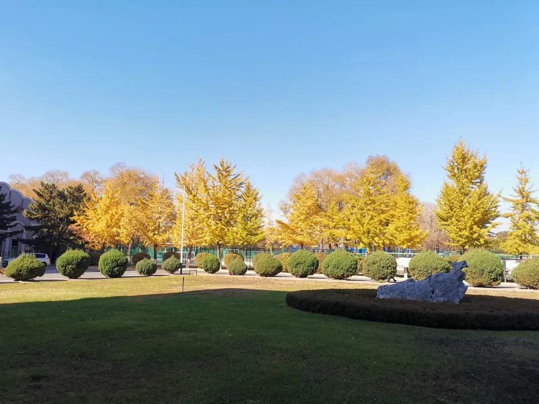 辽宁工程技术大学辽宁省分数线,辽宁工程技术大学在辽宁省排名